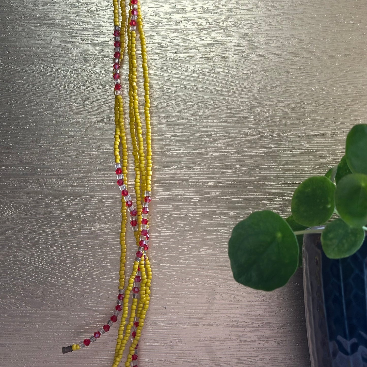 Hadza Clasped Waistbeads – Sunlit Freedom & Ancestral Wisdom