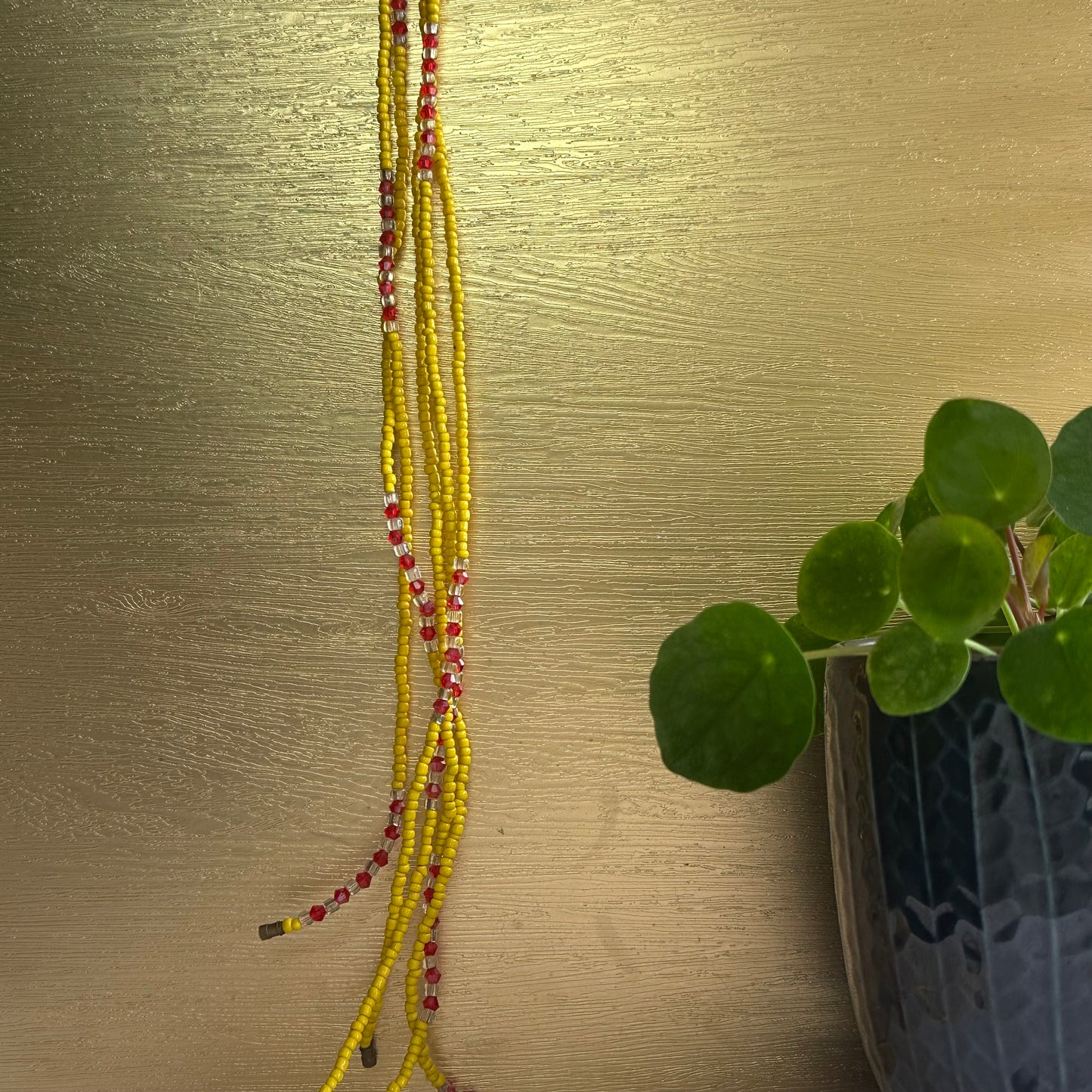 Hadza Clasped Waistbeads – Sunlit Freedom & Ancestral Wisdom